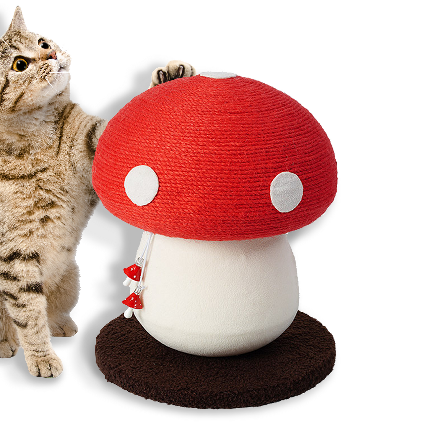 Cat Scratching Post for Indoor Cats
