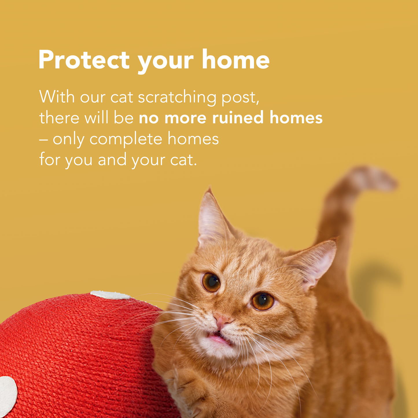 Cat Scratching Post for Indoor Cats