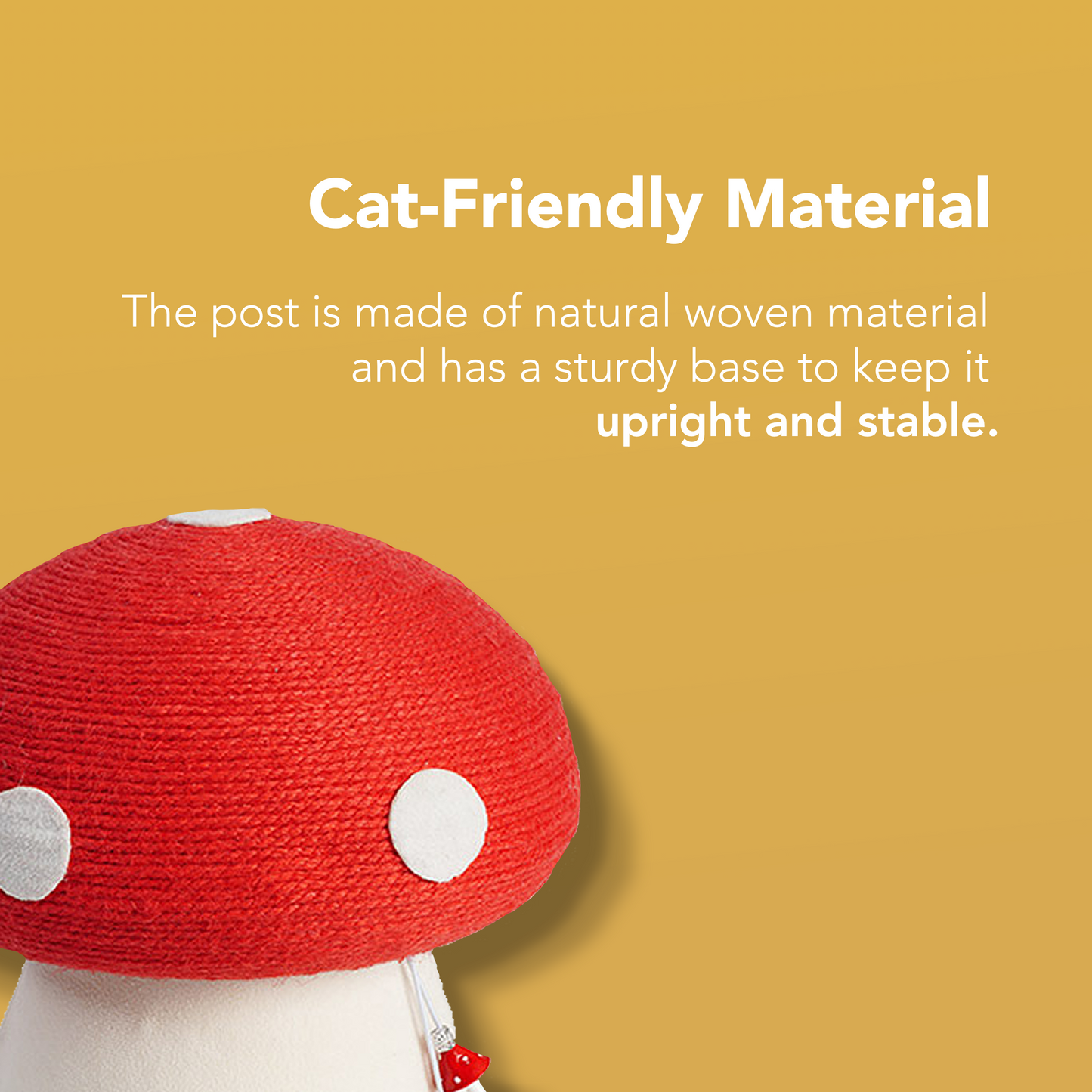Cat Scratching Post for Indoor Cats