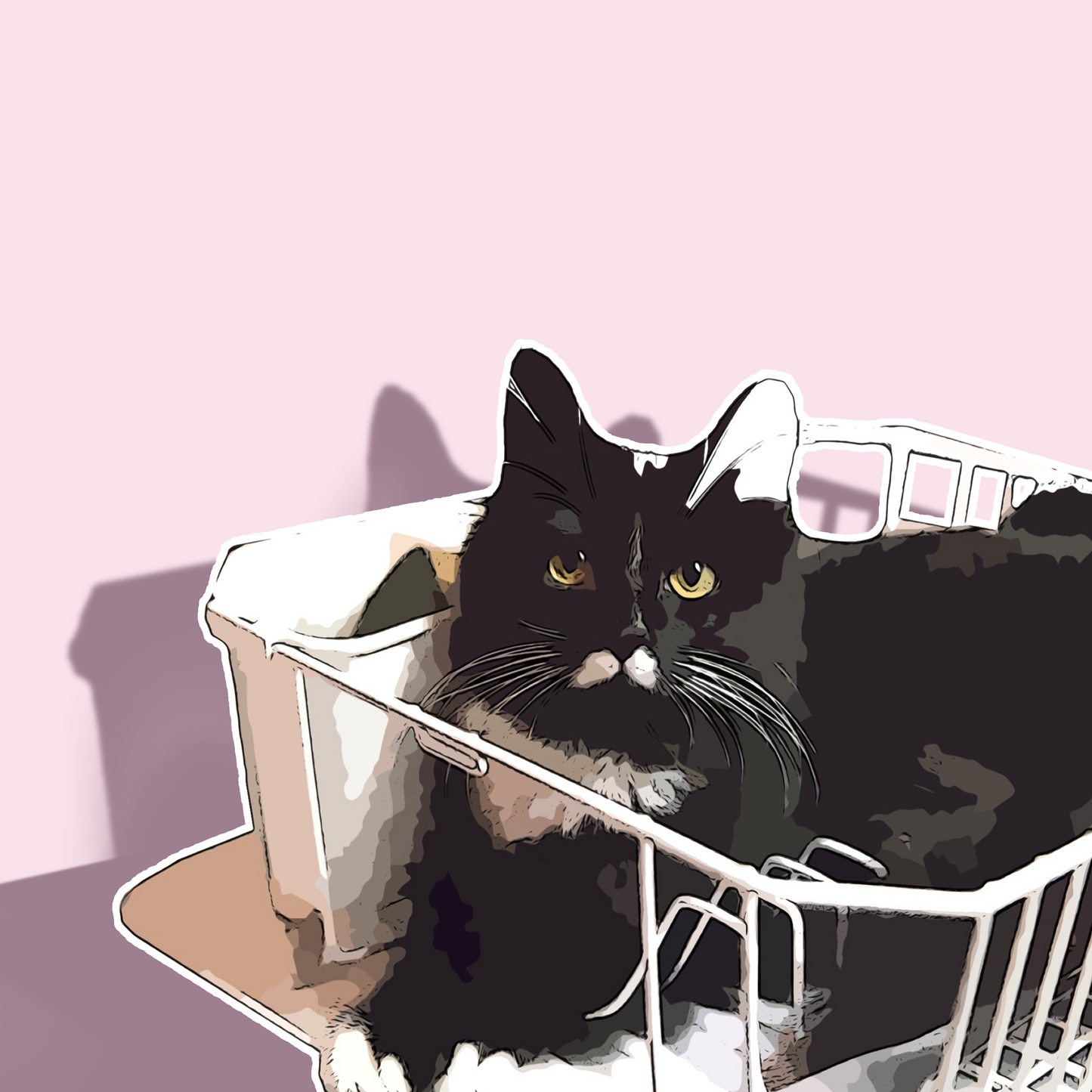 Can Cover for Cat Food: Black Cat