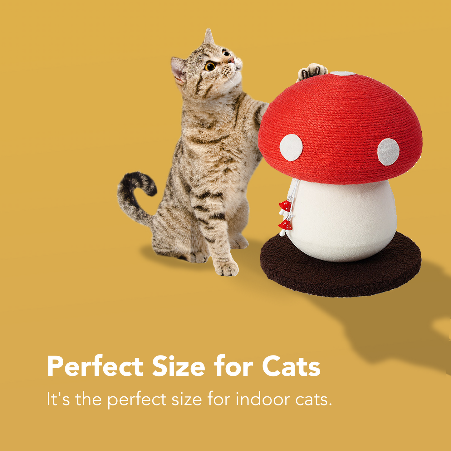 Cat Scratching Post for Indoor Cats